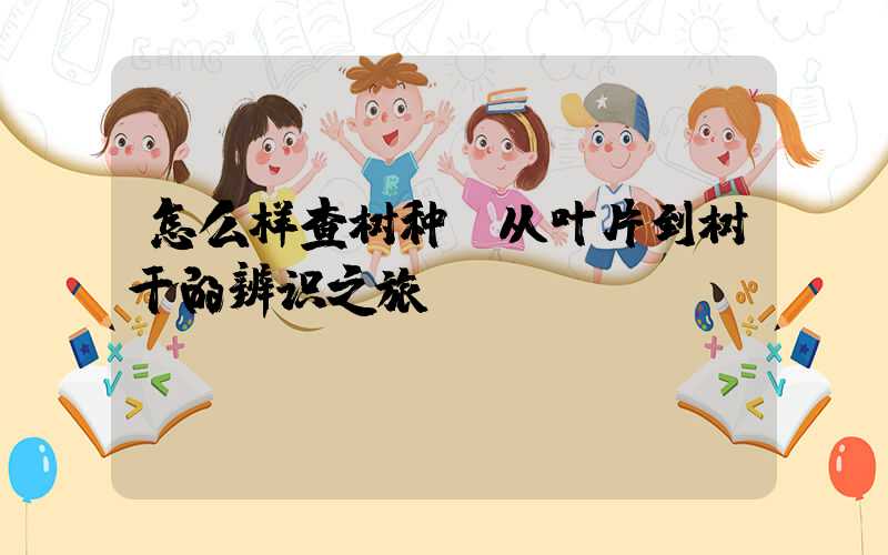 怎么样查树种:从叶片到树干的辨识之旅