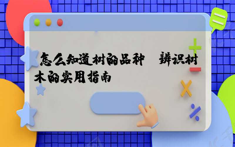 怎么知道树的品种：辨识树木的实用指南