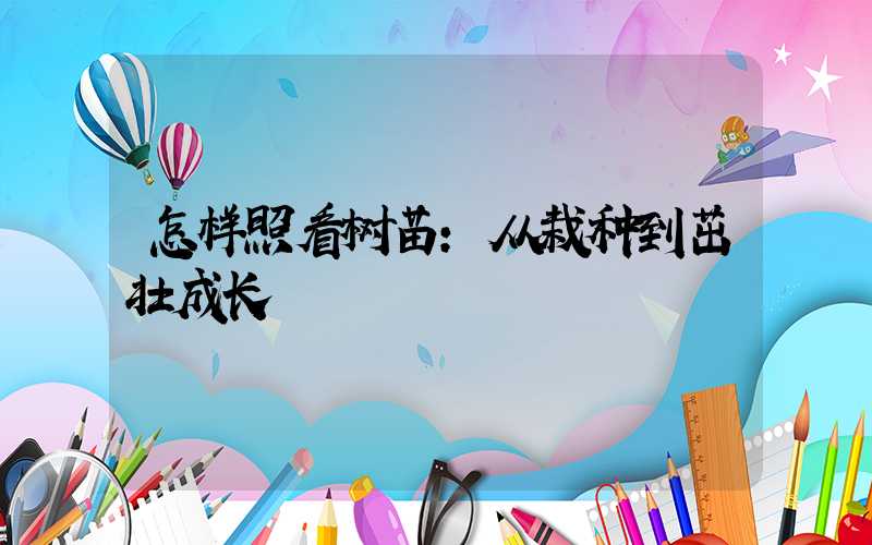 怎样照看树苗：从栽种到茁壮成长