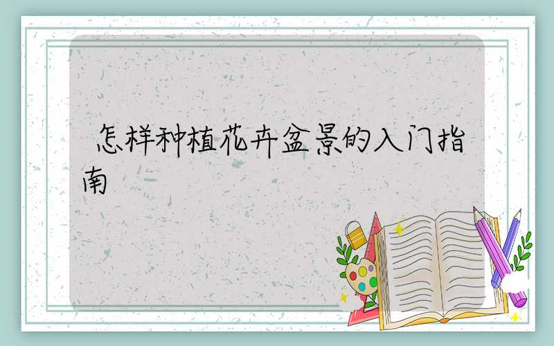 怎样种植花卉盆景的入门指南