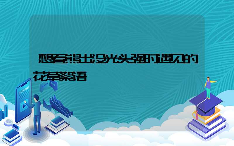 想看熊出没光头强时遇见的花草絮语