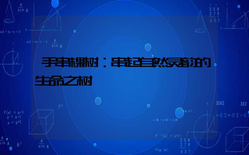 手串棵树：串起自然灵韵的生命之树