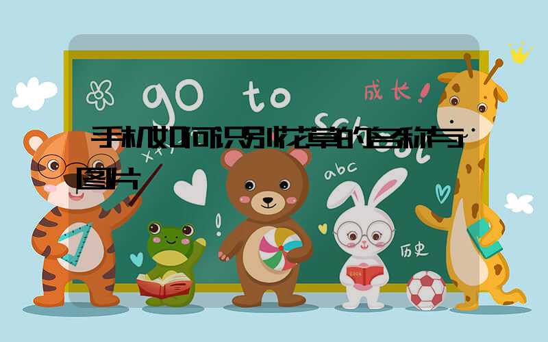 手机如何识别花草的名称与图片