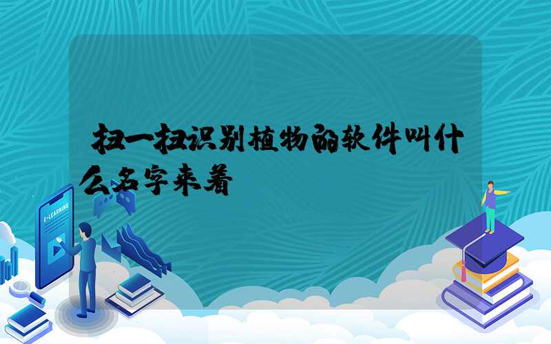 扫一扫识别植物的软件叫什么名字来着