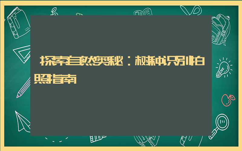 探索自然奥秘：树种识别拍照指南