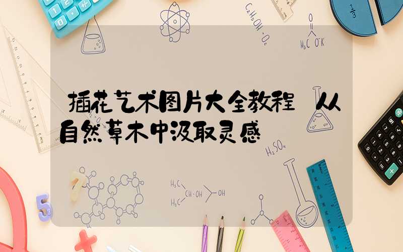 插花艺术图片大全教程:从自然草木中汲取灵感