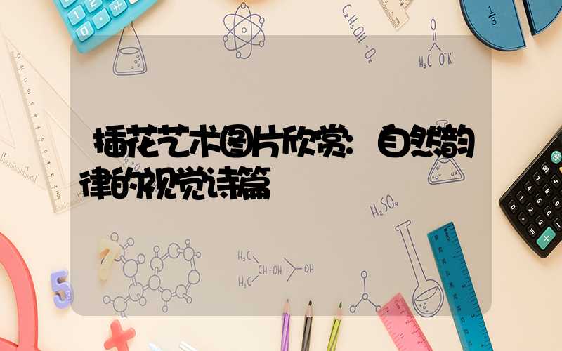 插花艺术图片欣赏:自然韵律的视觉诗篇