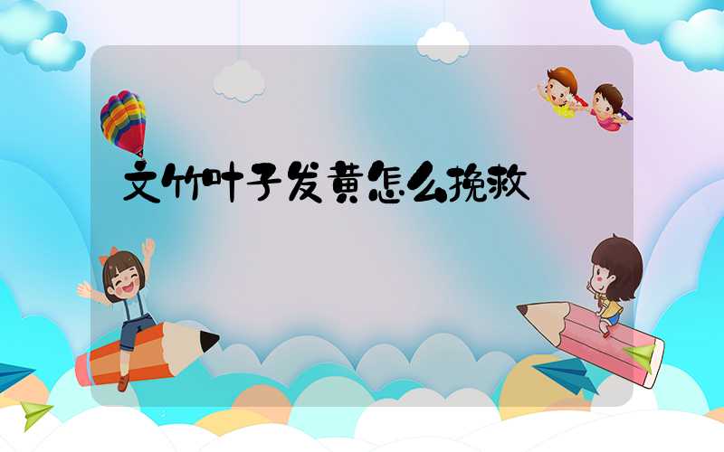 文竹叶子发黄怎么挽救