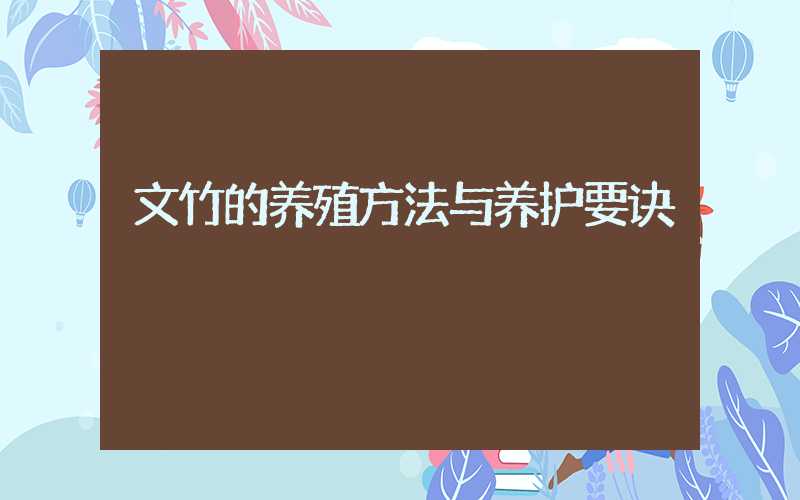 文竹的养殖方法与养护要诀