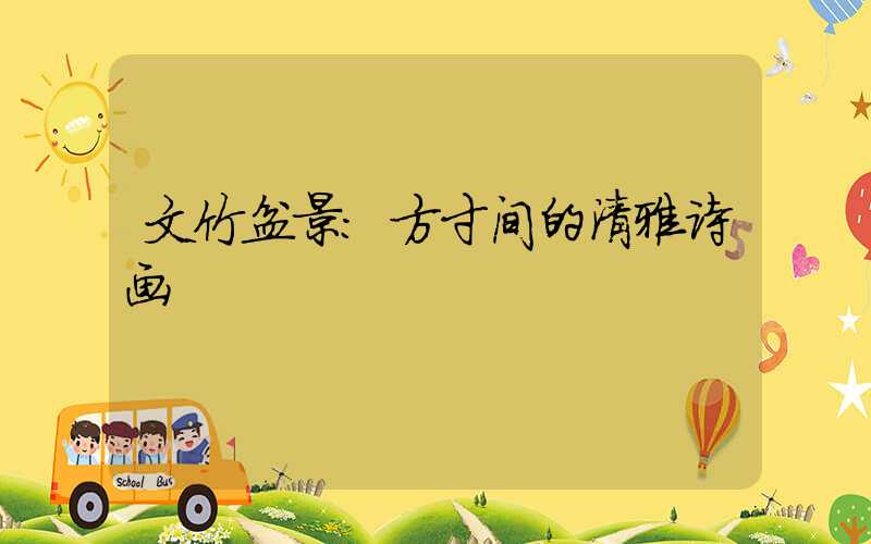 文竹盆景:方寸间的清雅诗画