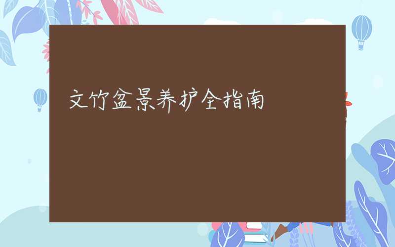 文竹盆景养护全指南