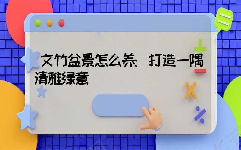 文竹盆景怎么养:打造一隅清雅绿意