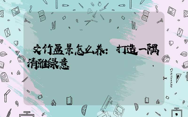 文竹盆景怎么养：打造一隅清雅绿意