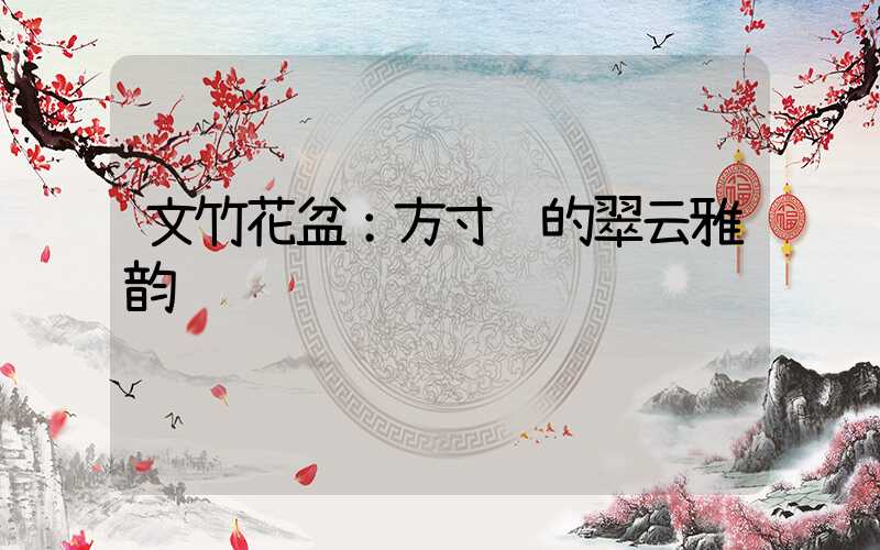 文竹花盆：方寸间的翠云雅韵