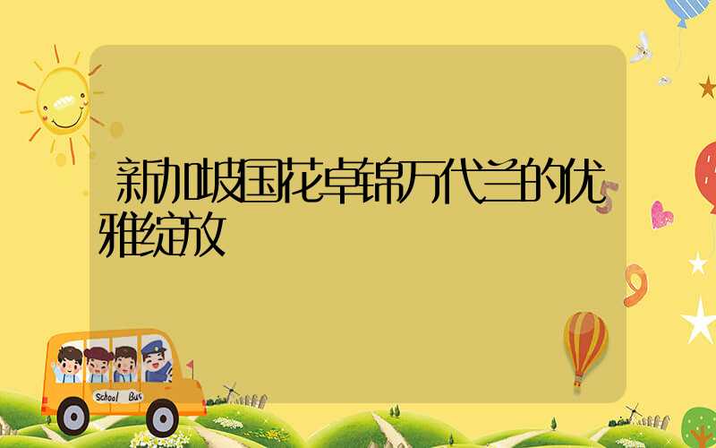 新加坡国花卓锦万代兰的优雅绽放