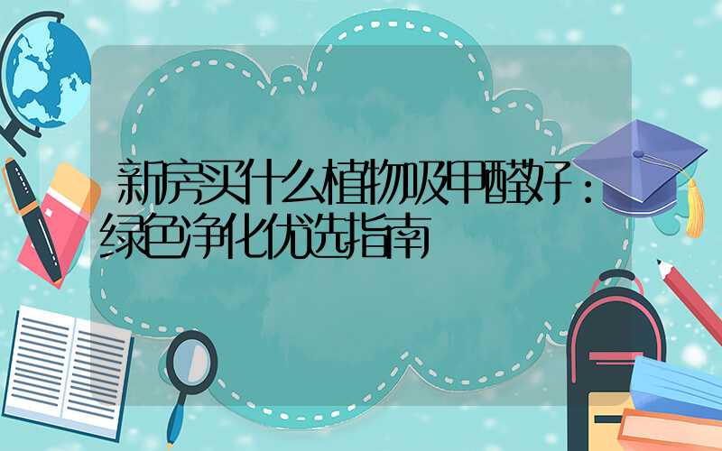 新房买什么植物吸甲醛好：绿色净化优选指南