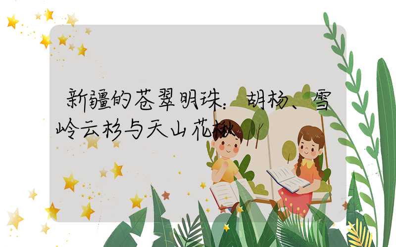 新疆的苍翠明珠：胡杨、雪岭云杉与天山花楸