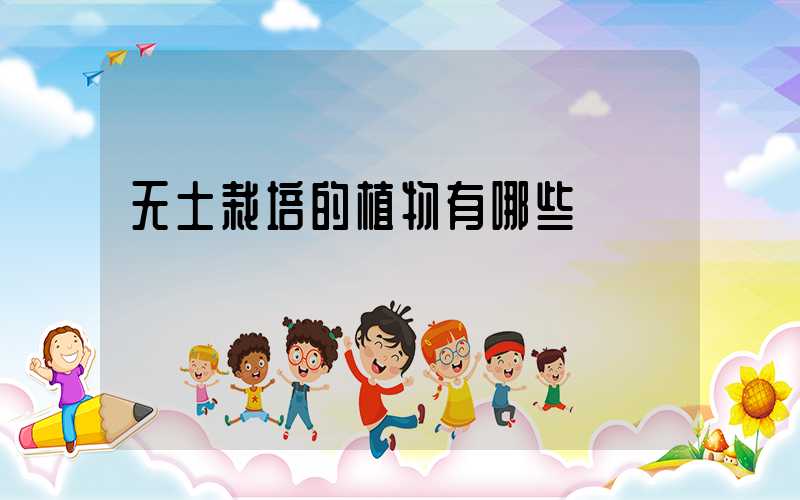 无土栽培的植物有哪些