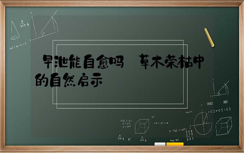 早泄能自愈吗:草木荣枯中的自然启示