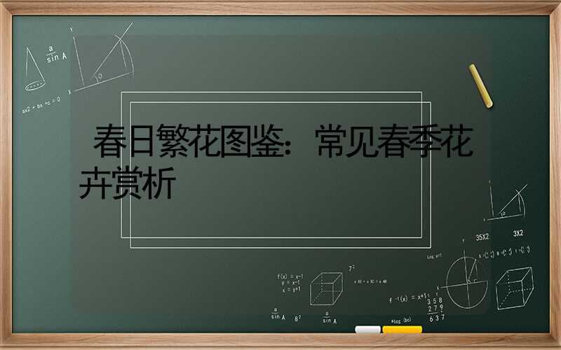 春日繁花图鉴：常见春季花卉赏析