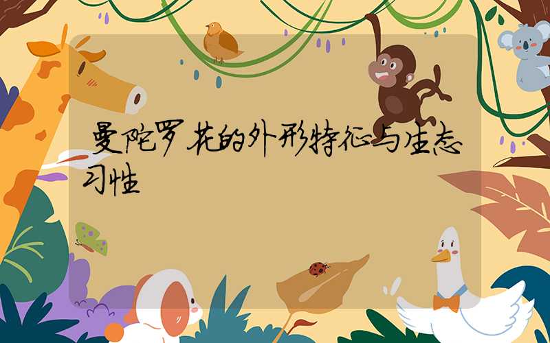 曼陀罗花的外形特征与生态习性