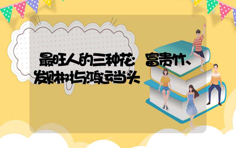 最旺人的三种花:富贵竹、发财树与鸿运当头