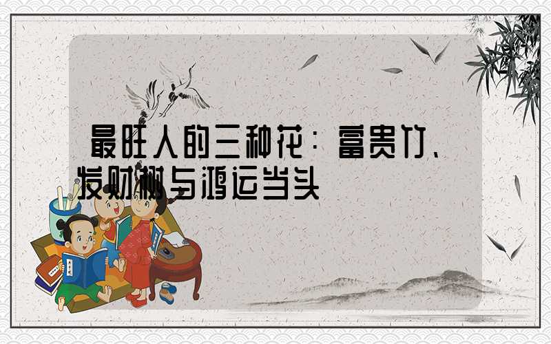 最旺人的三种花：富贵竹、发财树与鸿运当头