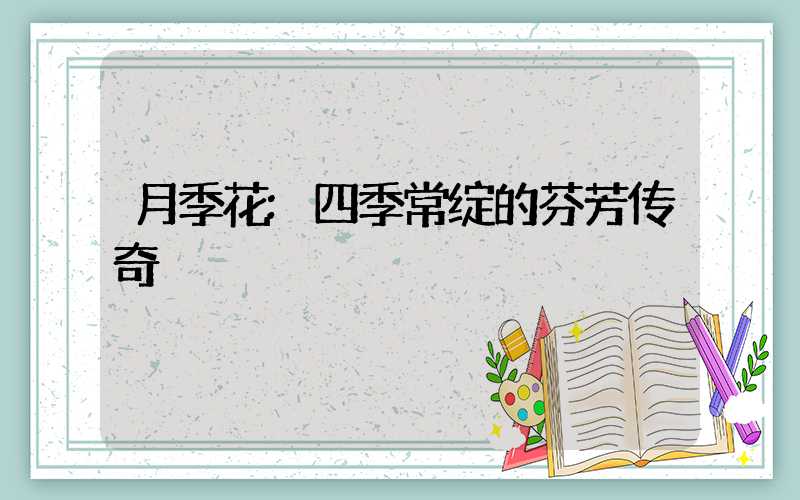 月季花:四季常绽的芬芳传奇