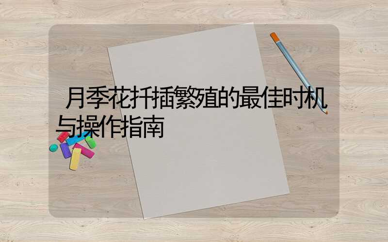 月季花扦插繁殖的最佳时机与操作指南