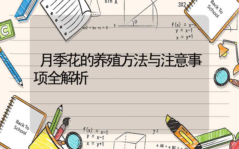 月季花的养殖方法与注意事项全解析