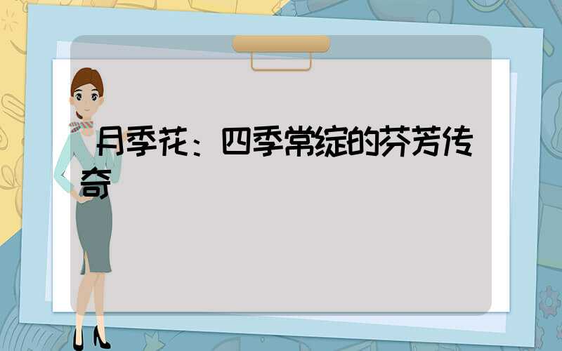 月季花：四季常绽的芬芳传奇