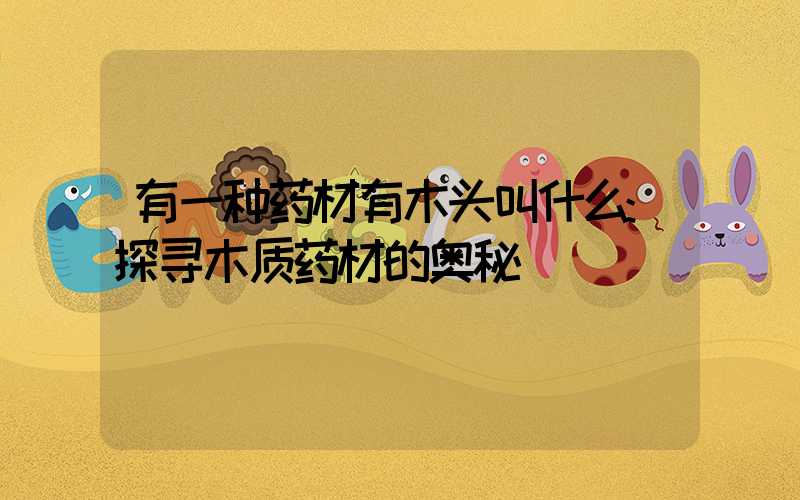 有一种药材有木头叫什么:探寻木质药材的奥秘