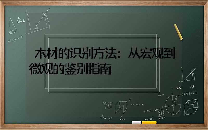 木材的识别方法：从宏观到微观的鉴别指南