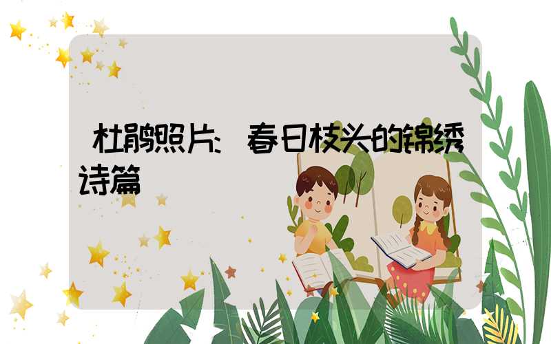 杜鹃照片:春日枝头的锦绣诗篇