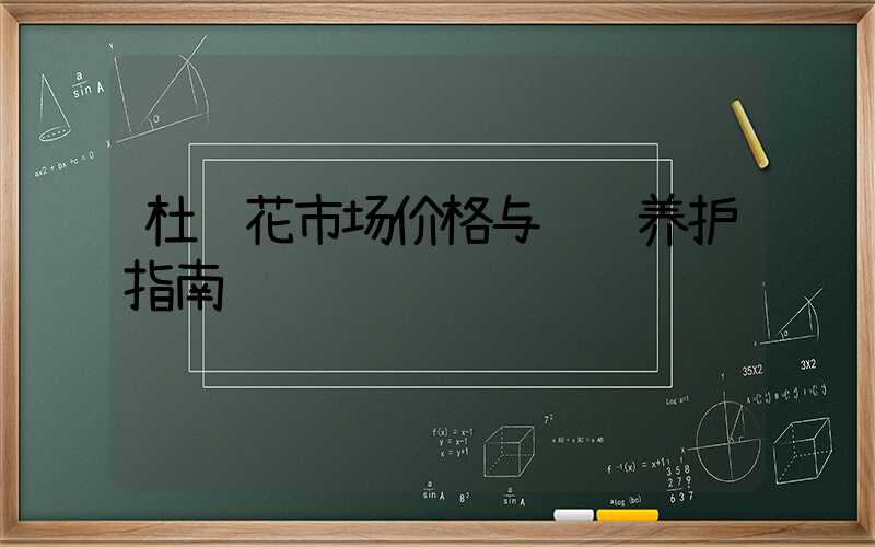 杜鹃花市场价格与选购养护指南