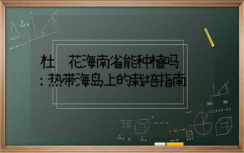 杜鹃花海南省能种植吗视频：热带海岛上的栽培指南