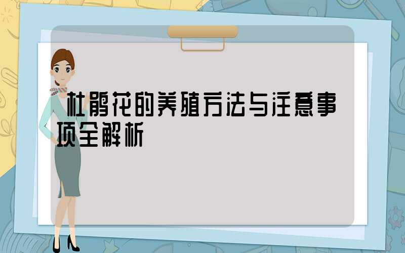 杜鹃花的养殖方法与注意事项全解析