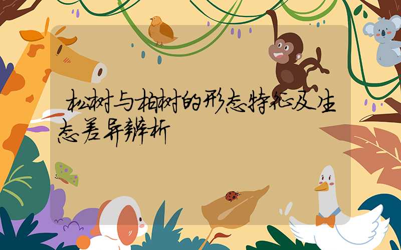 松树与柏树的形态特征及生态差异辨析
