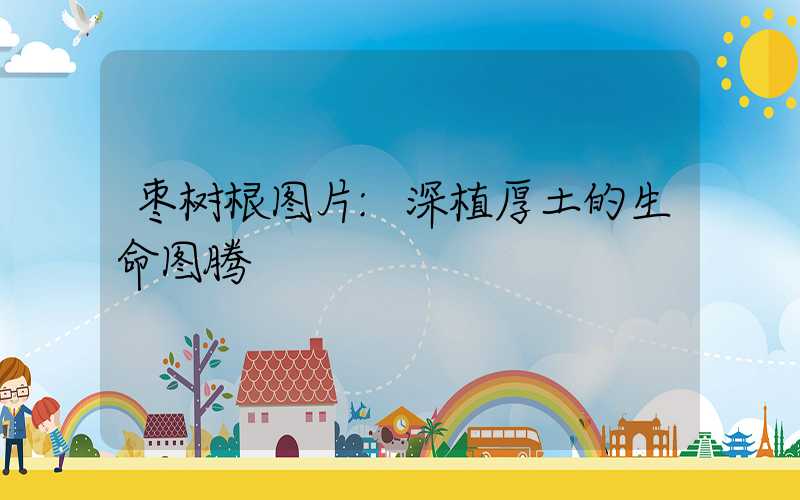 枣树根图片:深植厚土的生命图腾