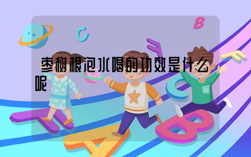 枣树根泡水喝的功效是什么呢