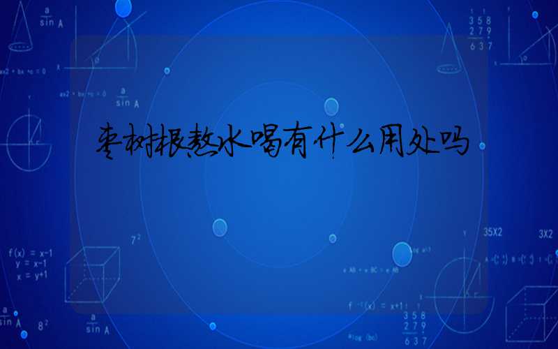 枣树根熬水喝有什么用处吗