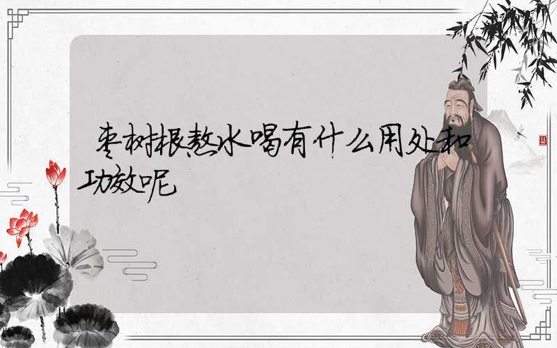 枣树根熬水喝有什么用处和功效呢