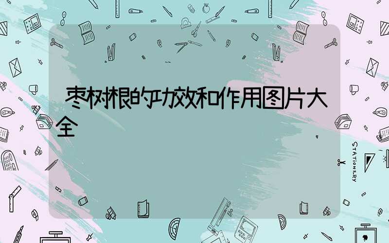 枣树根的功效和作用图片大全