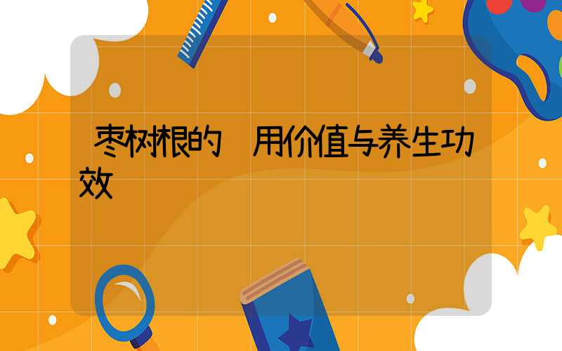 枣树根的药用价值与养生功效