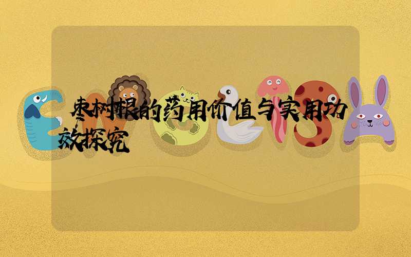 枣树根的药用价值与实用功效探究