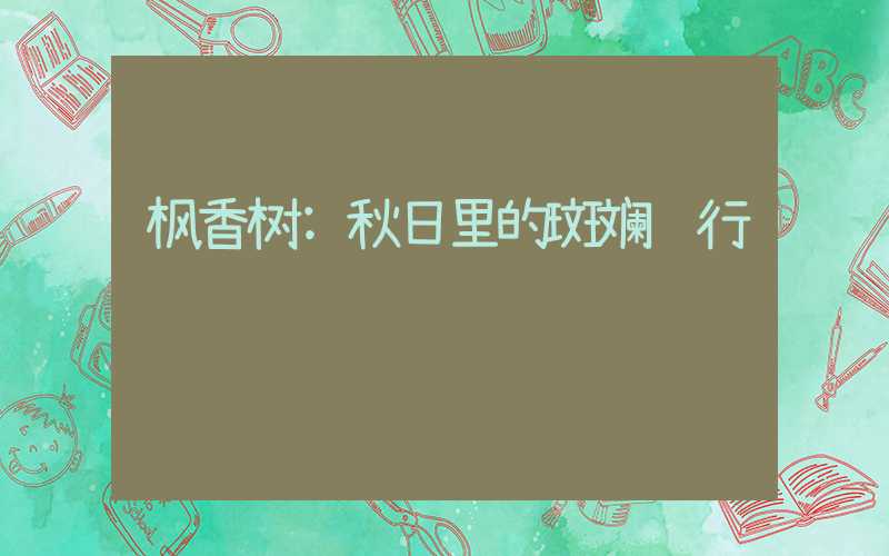 枫香树:秋日里的斑斓诗行