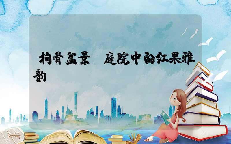枸骨盆景:庭院中的红果雅韵