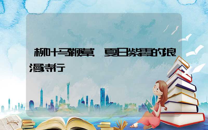 柳叶马鞭草:夏日紫霞的浪漫诗行