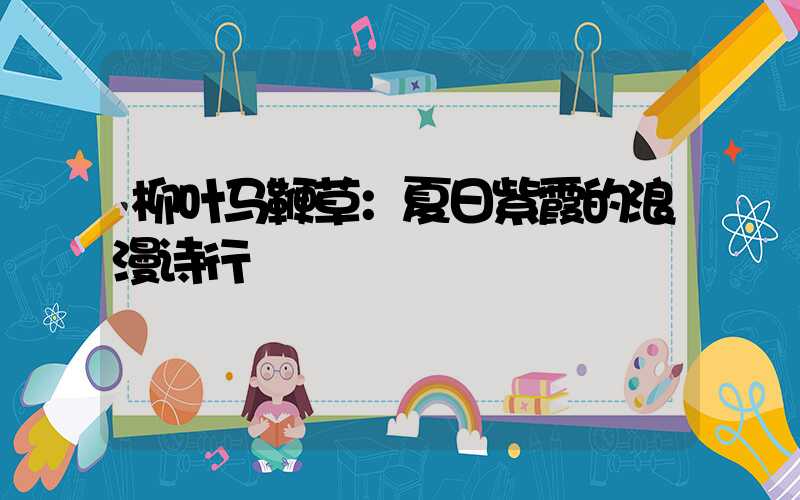 柳叶马鞭草：夏日紫霞的浪漫诗行