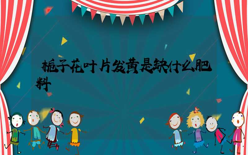 栀子花叶片发黄是缺什么肥料